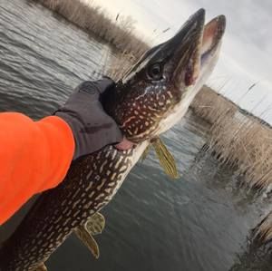 Meet your Posher, Tim